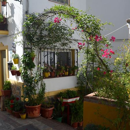 Finca El Molino De Aceite Jubrique Екстериор снимка