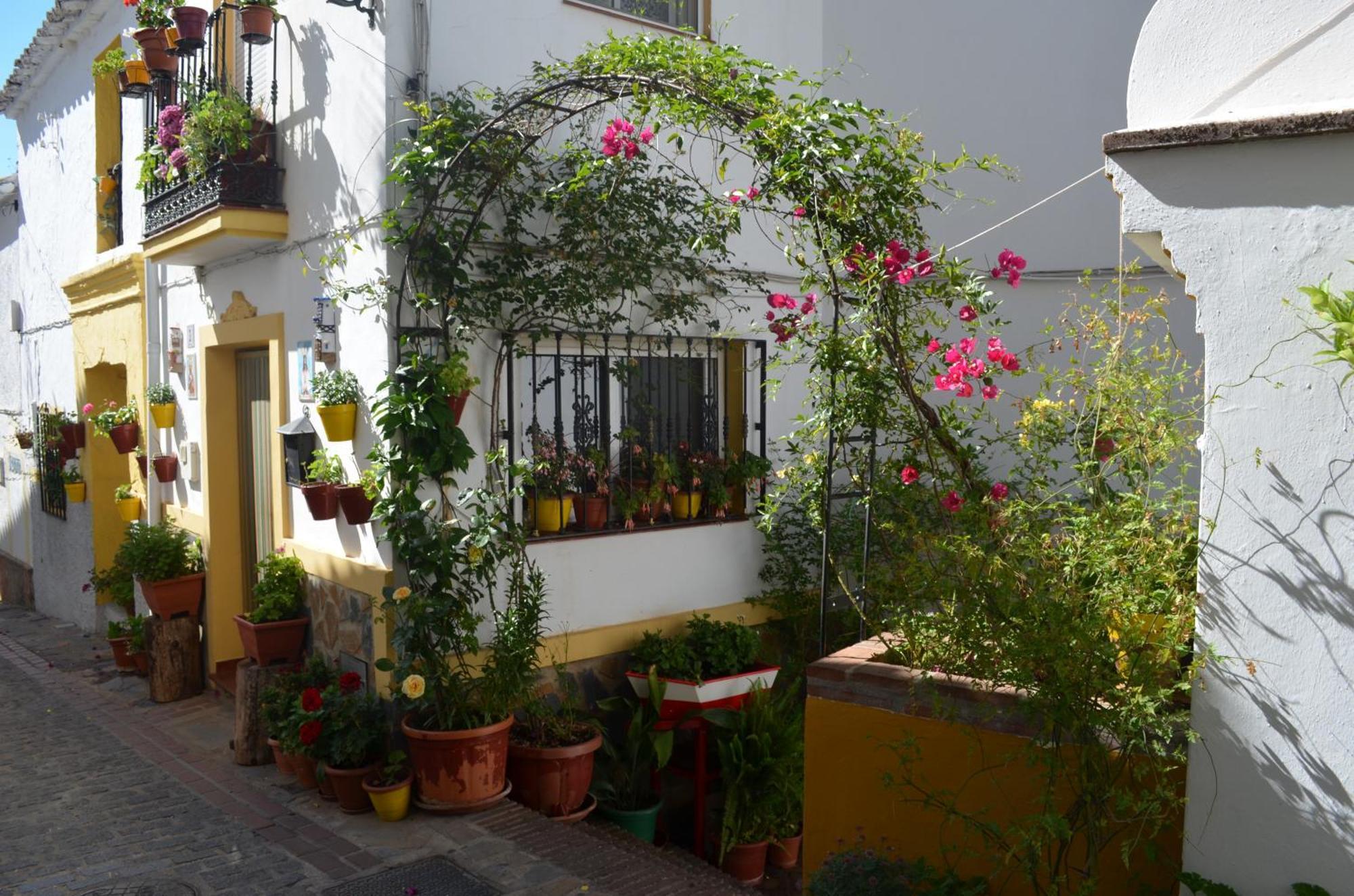 Finca El Molino De Aceite Jubrique Екстериор снимка