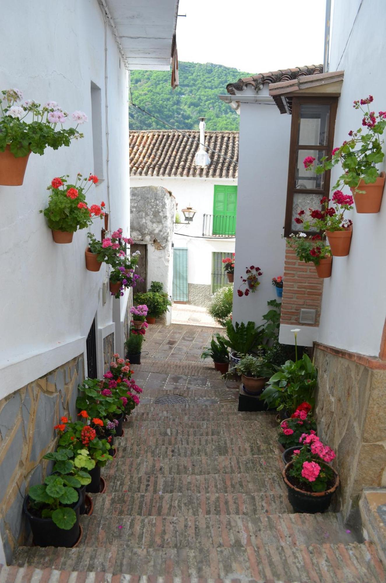 Finca El Molino De Aceite Jubrique Екстериор снимка