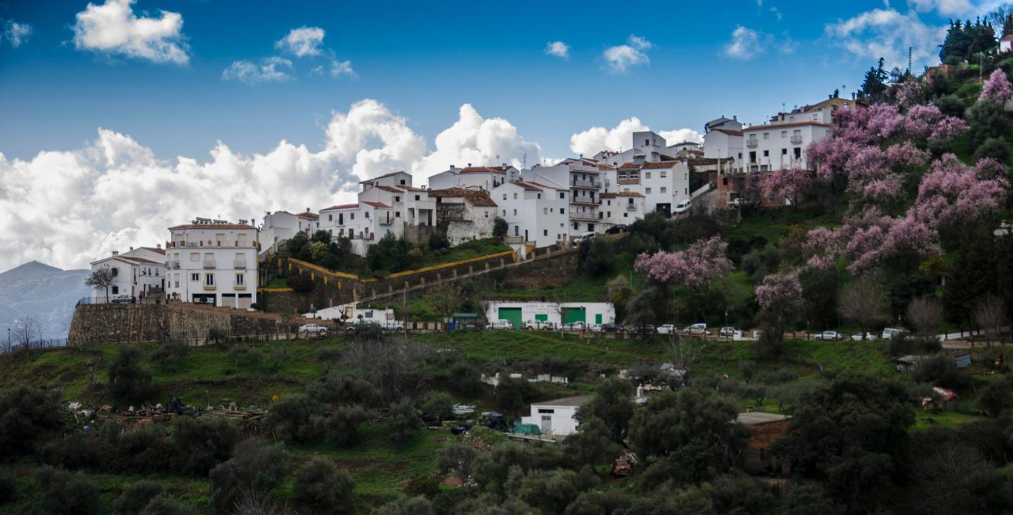 Finca El Molino De Aceite Jubrique Екстериор снимка
