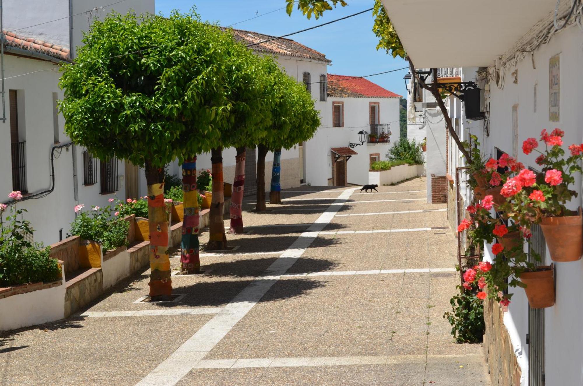 Finca El Molino De Aceite Jubrique Екстериор снимка