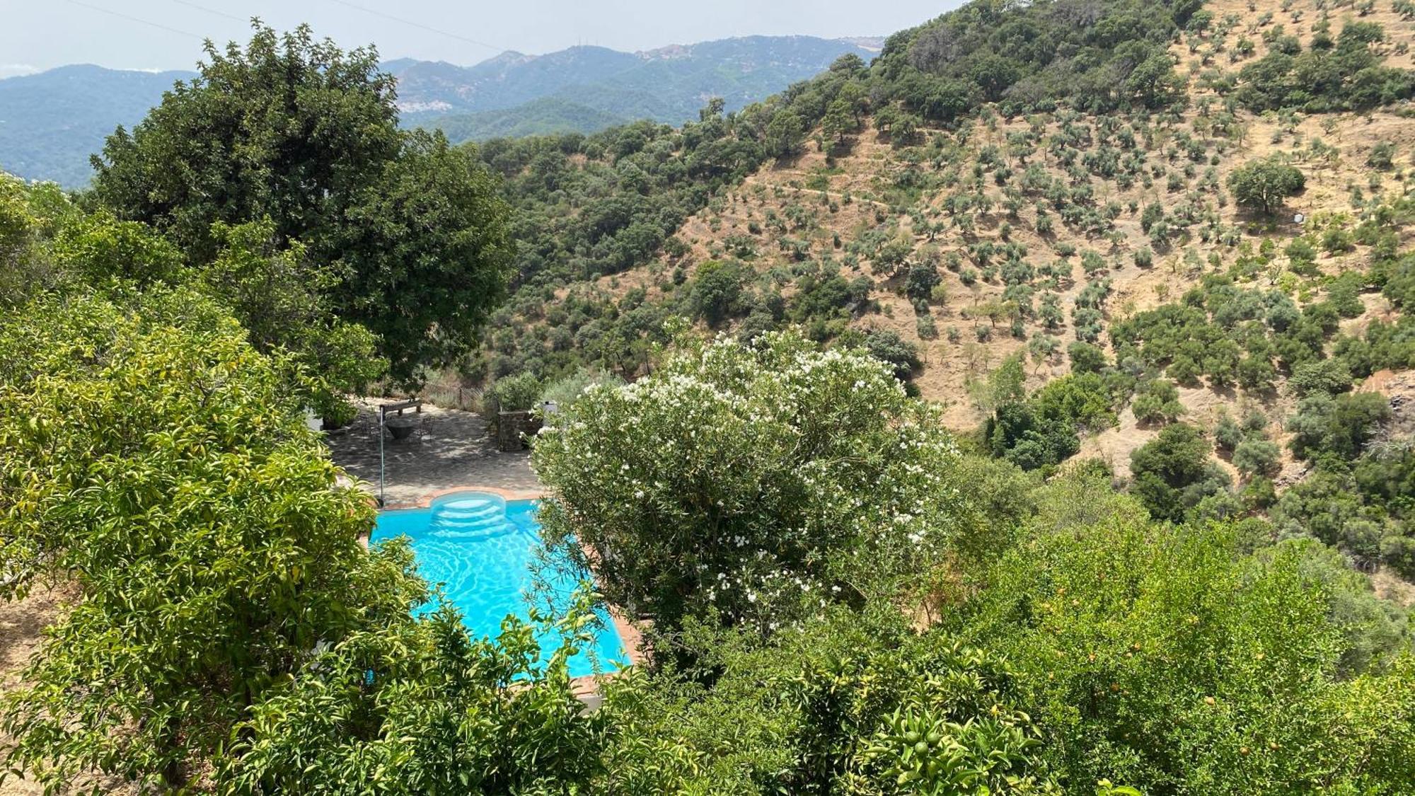 Finca El Molino De Aceite Jubrique Екстериор снимка